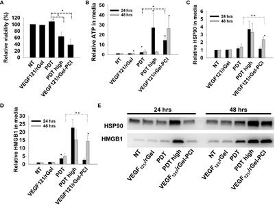 Corrigendum: Light-enhanced VEGF121/rGel induce immunogenic cell death and increase the antitumor activity of αCTLA4 treatment